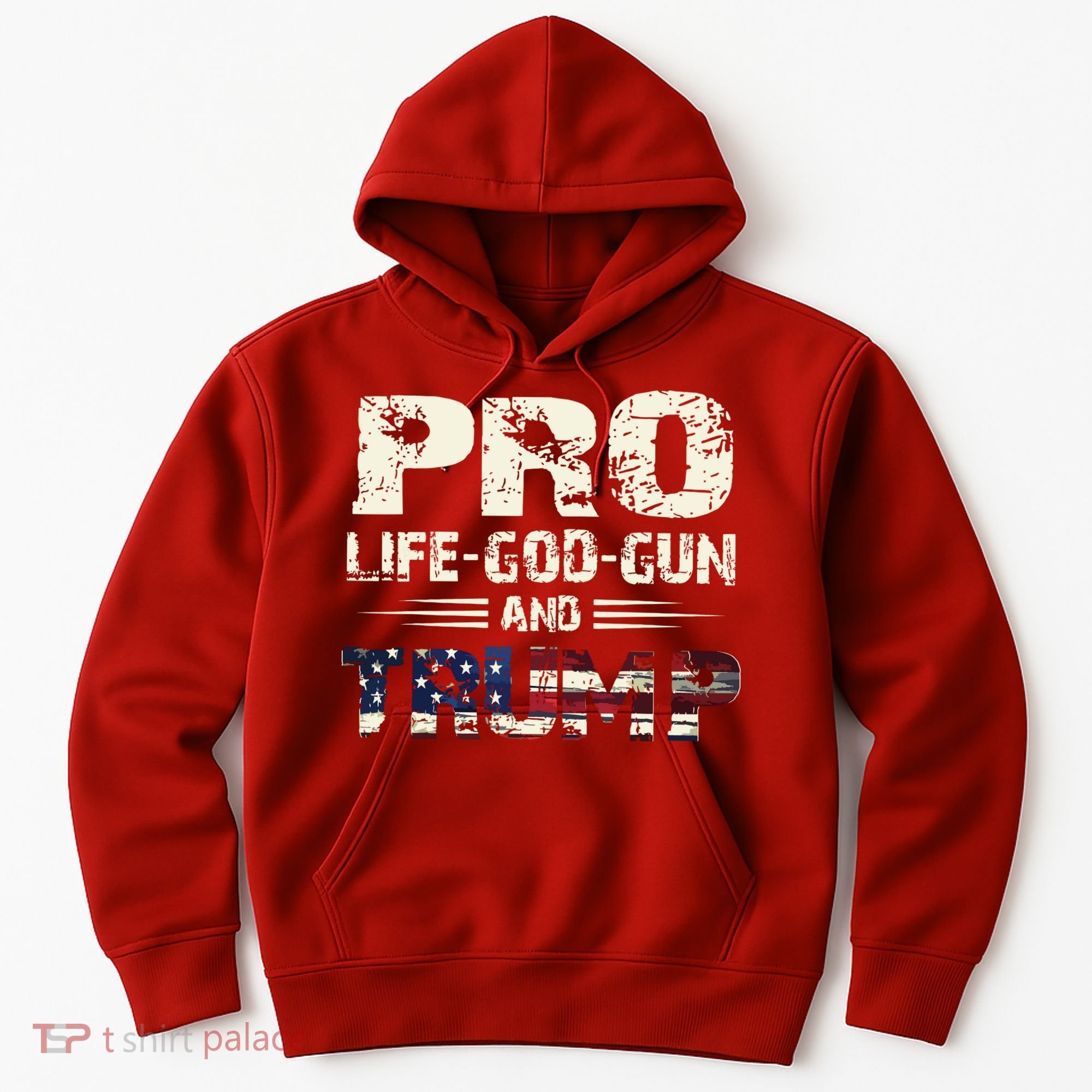 Pro God Pro Gun Pro Life Pro Trump Hoodie