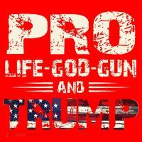 Pro God Pro Gun Pro Life Pro Trump Apron thumb 3