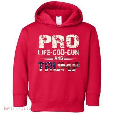 Pro God Pro Gun Pro Life Pro Trump Toddler Hoodie