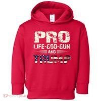Pro God Pro Gun Pro Life Pro Trump Toddler Hoodie thumb 0