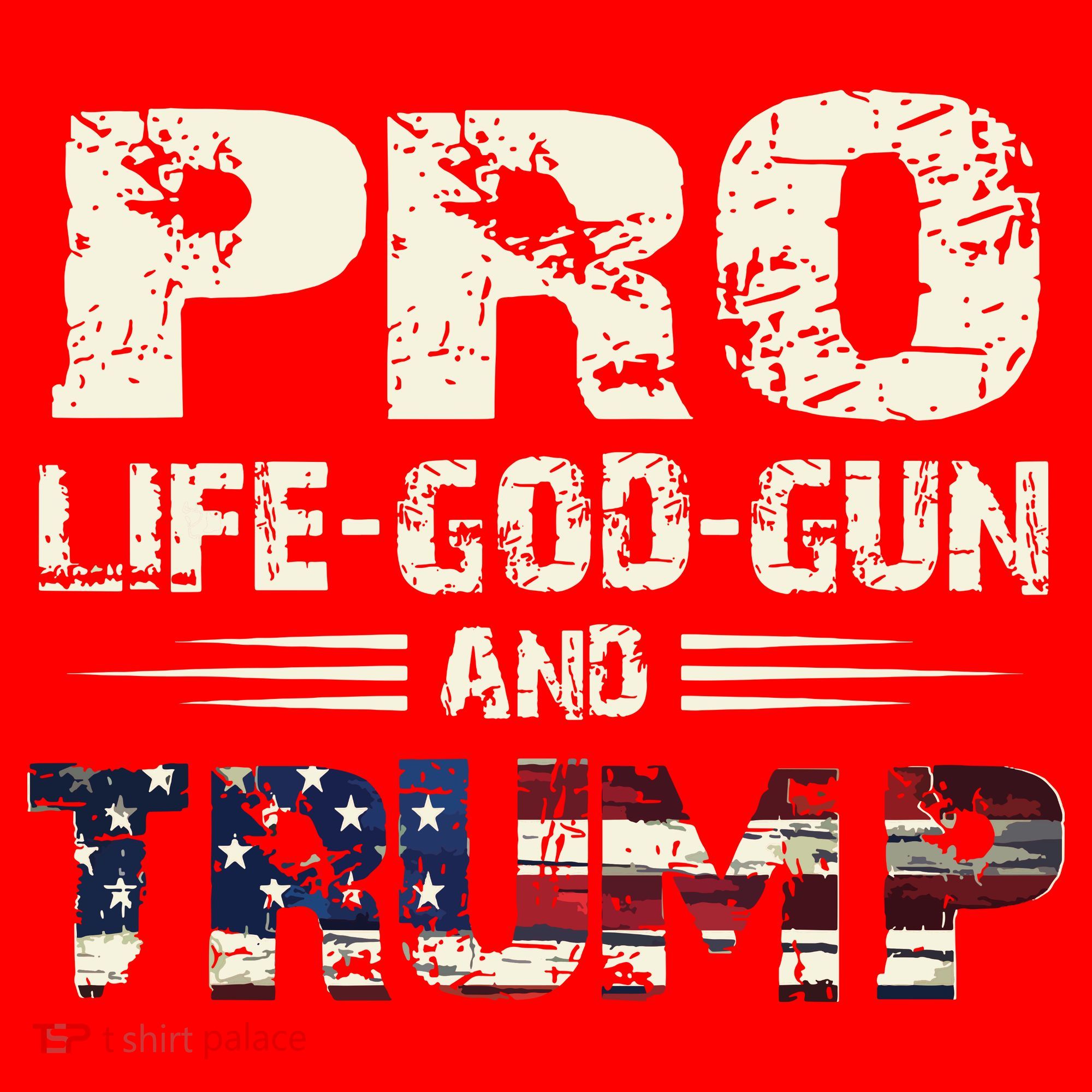 Pro God Pro Gun Pro Life Pro Trump Kids Sweatshirt