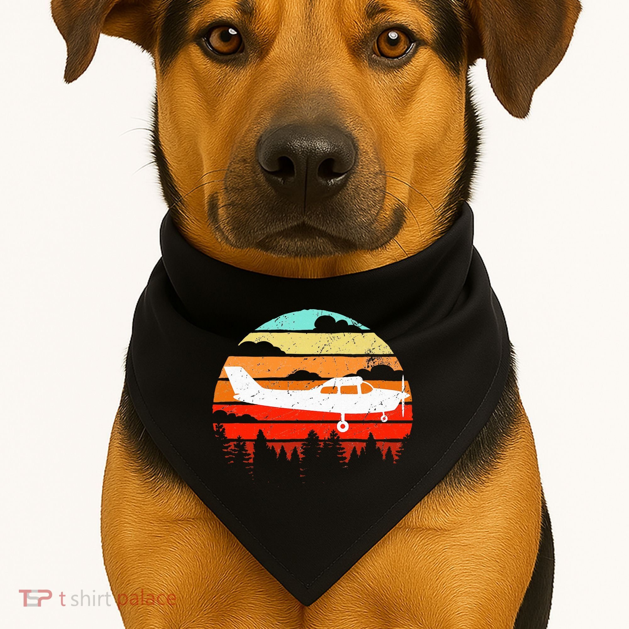 Pilot Gift Retro C172 Aircraft Flying Aviation USA-Made Doggie Bandana