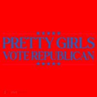 Pretty Girl Vote Republican Funny Saying Santa Hat thumb 1