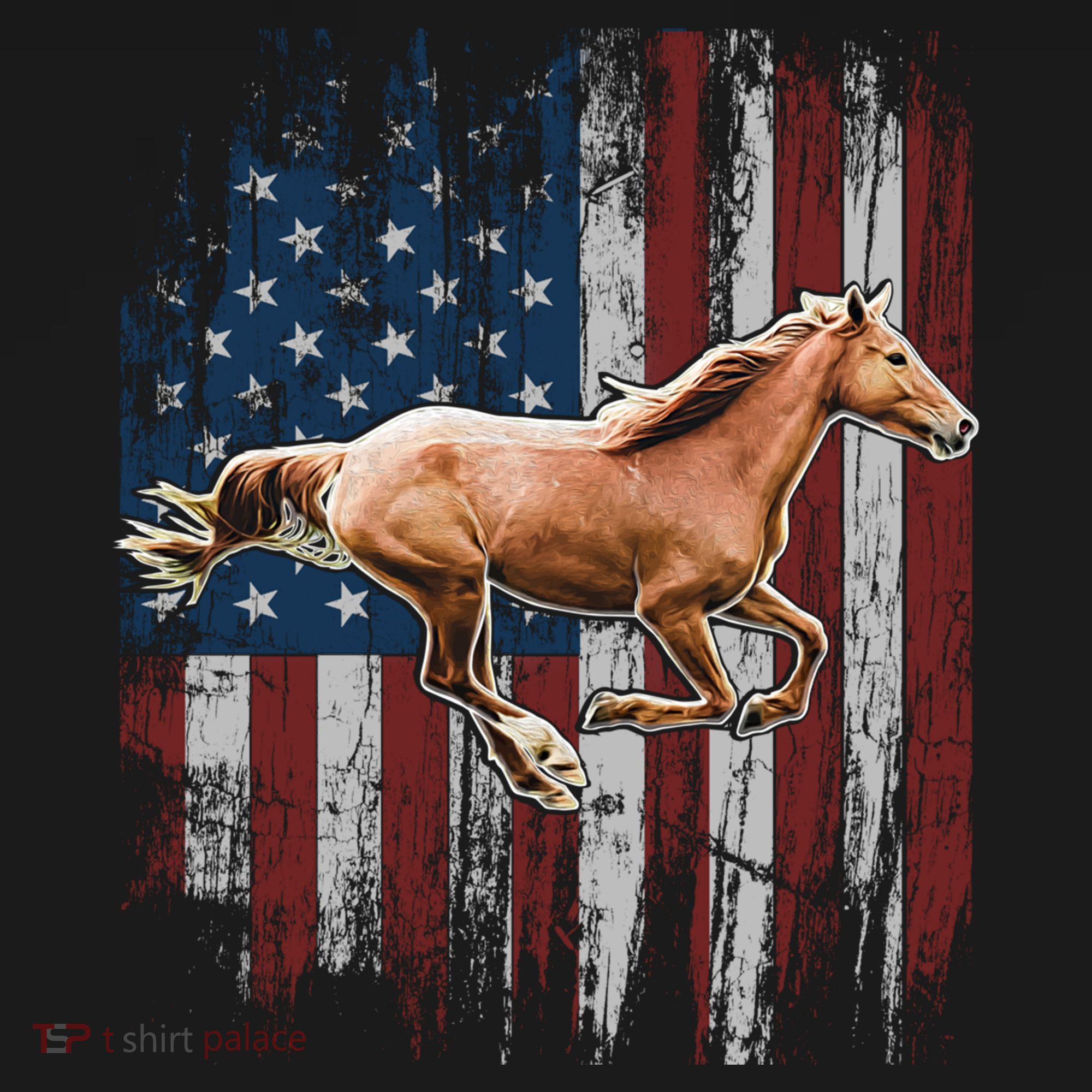 Patriotic Horse American Flag Horseback Riding Farm Gift Women's Hoodie