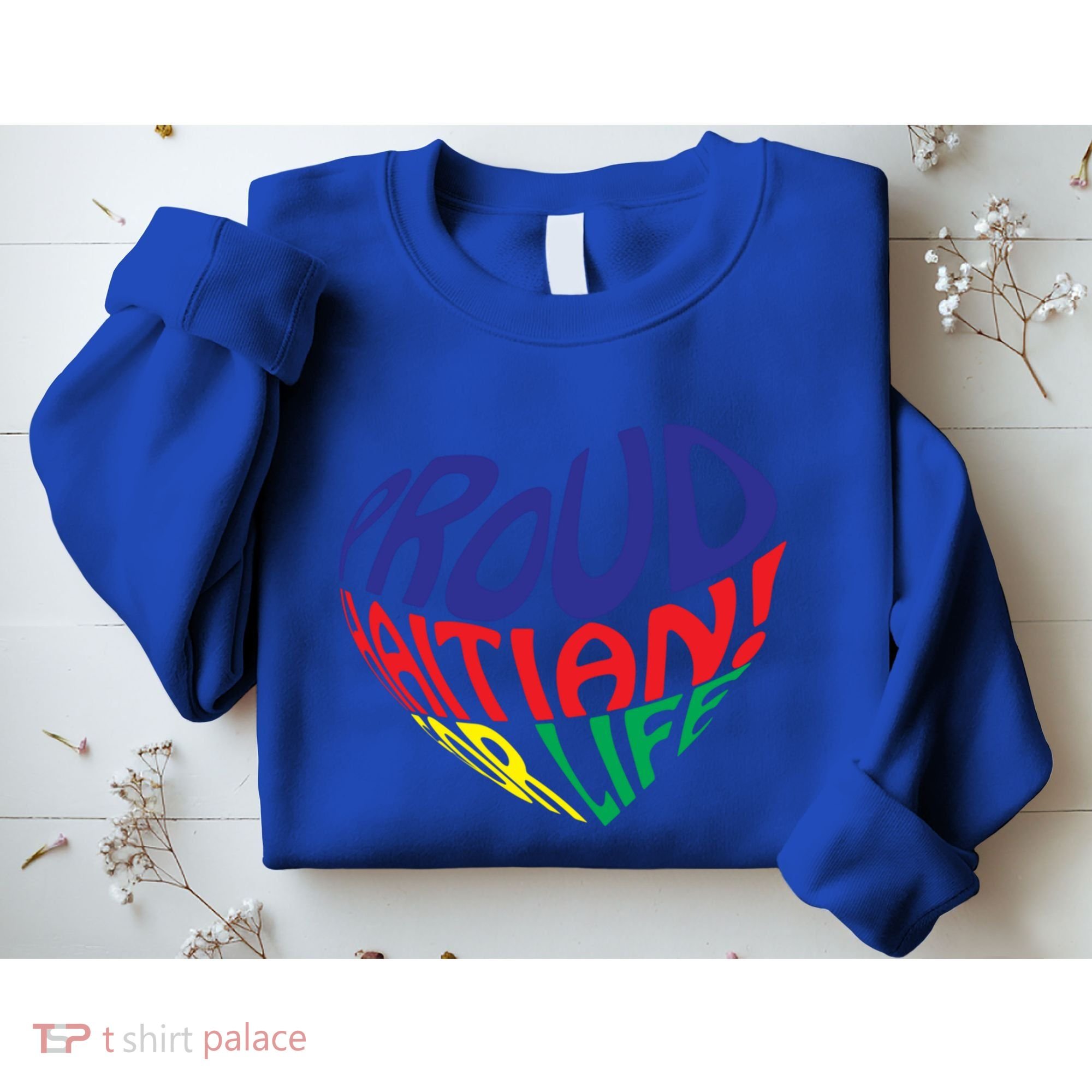Proud Haitian American I Love Haiti Heart Souvenir Gift Idea Funny Gift Sweatshirt