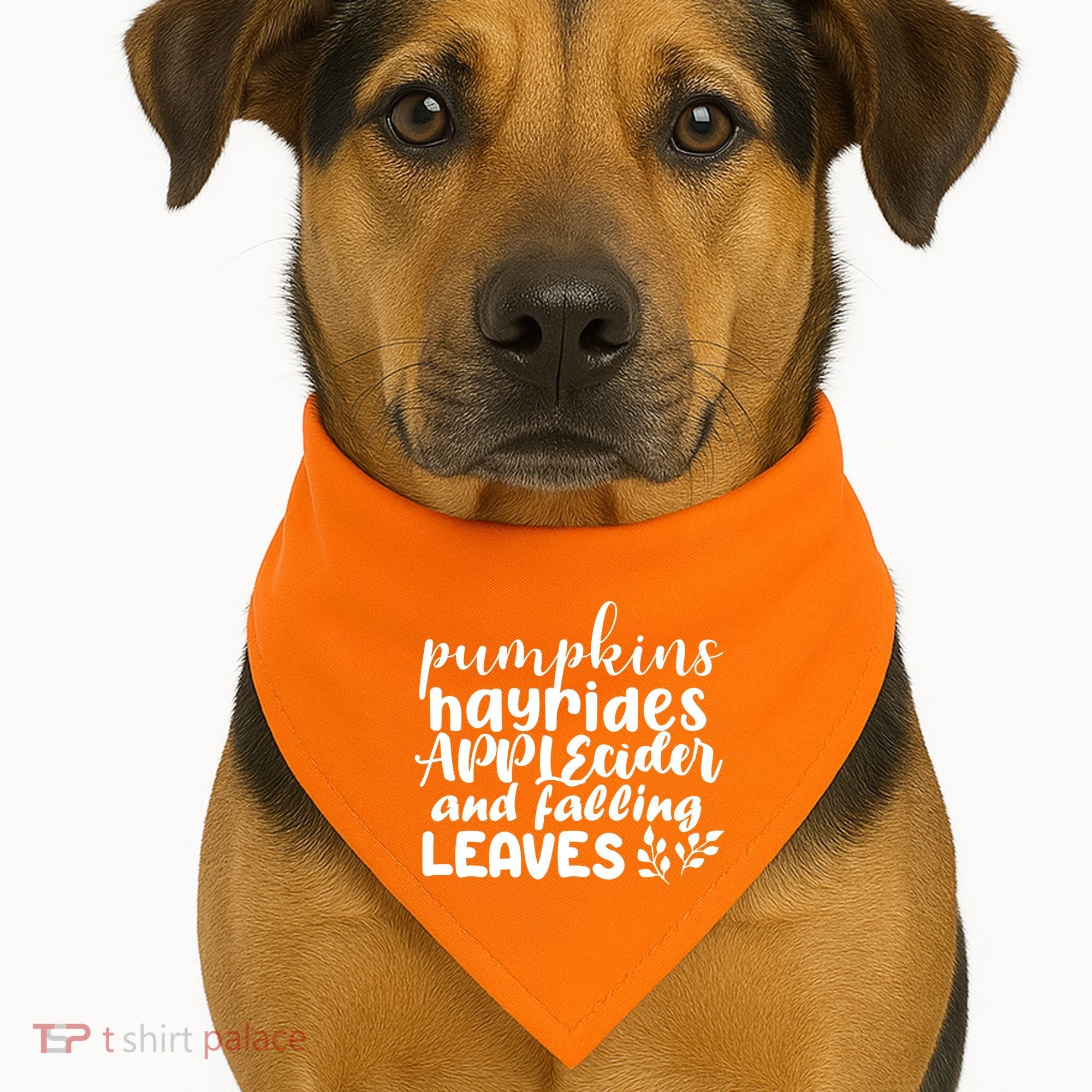 Pumpkins Hayrides Apple Cider And Falling Leaves USA-Made Doggie Bandana