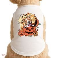 Pitbull Halloween Dog Pumpkin Cute Doggie Tank thumb 0