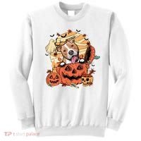 Pitbull Halloween Dog Pumpkin Cute Sweatshirt thumb 0