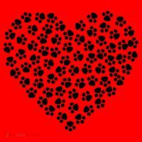 Pawprint Heart Dog Lover Santa Hat thumb 1