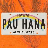 Pau Hana Hawaii License Plate Kati Licensed 12" Camo Cuffed Beanie thumb 2