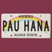 Pau Hana Hawaii License Plate 16oz Travel Tumbler thumb 2