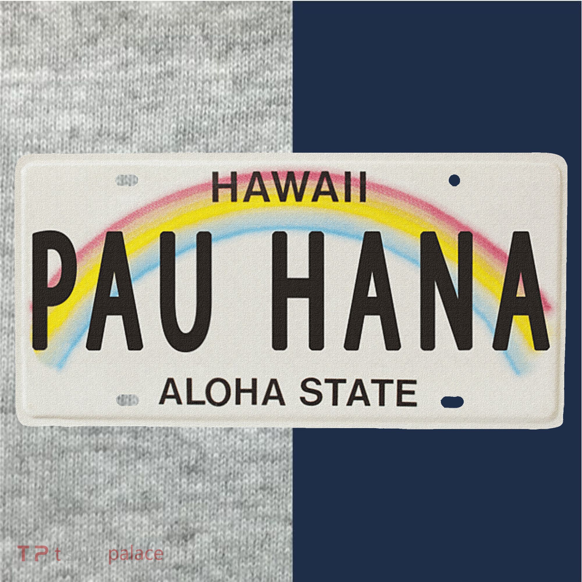 Pau Hana Hawaii License Plate Kids Colorblock Raglan Jersey