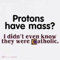 Protons Have Mass I Didn't Even Know They Were Catholic Doggie Tank thumb 4