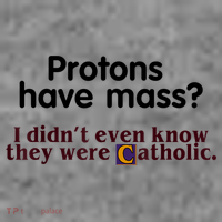 Protons Have Mass I Didn't Even Know They Were Catholic Toddler Hoodie thumb 2