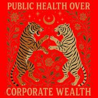 Public Health Over Corporate Wealth Tiger Boho Santa Hat thumb 1