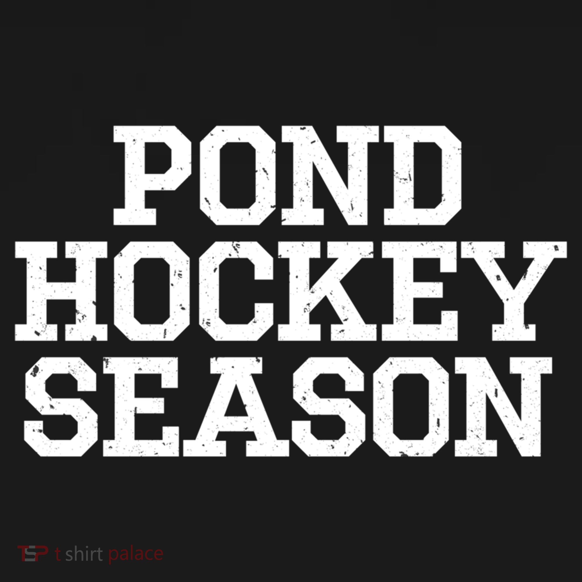 Pond Hockey Season Gift Ornament