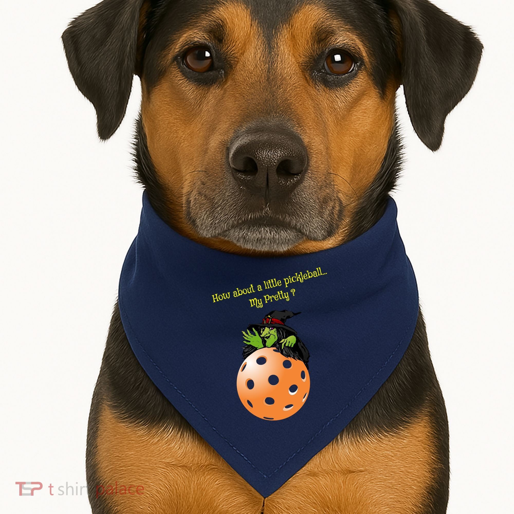 Pickleball Halloween Witch | Fun Pickleball | Great Pickleball USA-Made Doggie Bandana