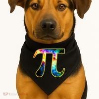 Pi Day Galaxy 3.14 USA-Made Doggie Bandana thumb 1