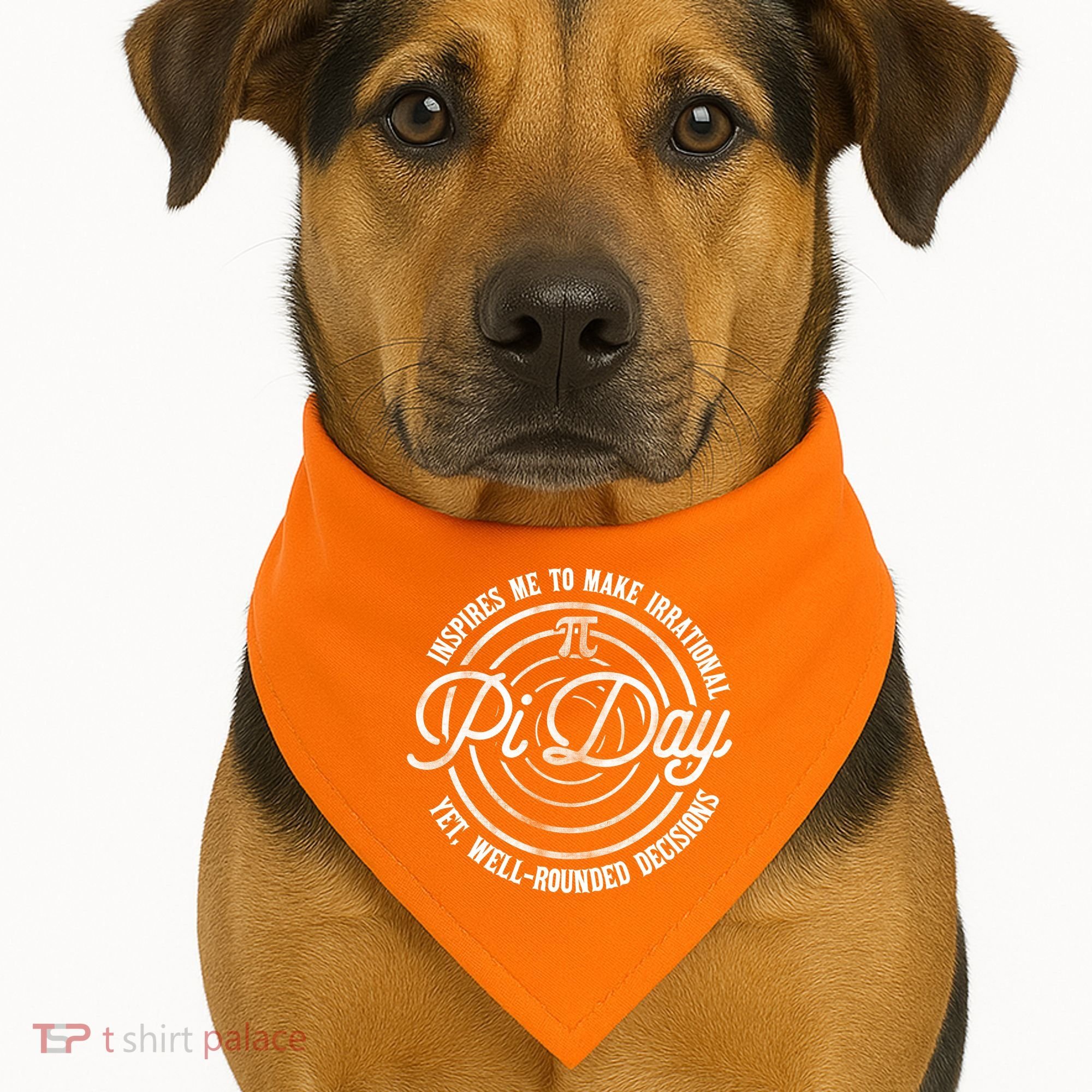 Pi Day Inspires Me To Make Irrational Decisions  USA-Made Doggie Bandana