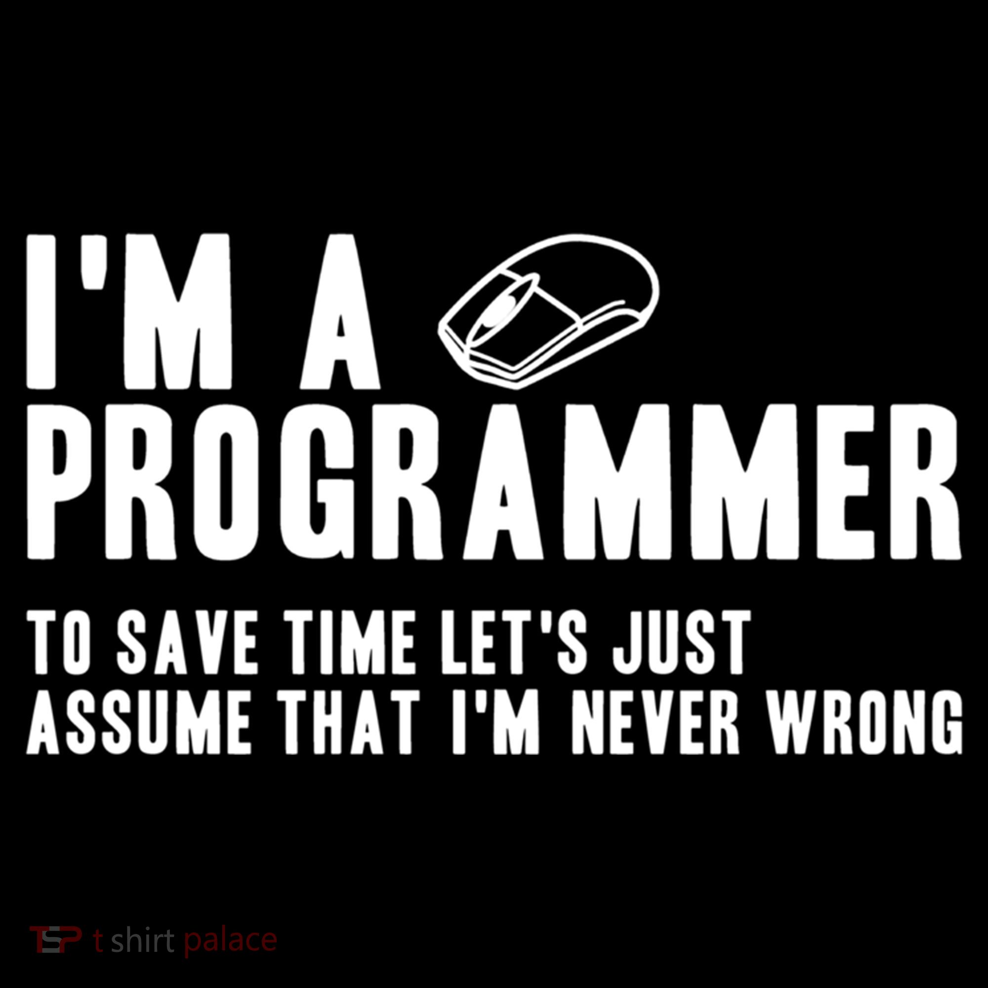 Programmer Is Always Right Software Engineer Programming Gift Kids Long Sleeve Shirt