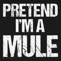 Pretend I'm a Mule Costume Funny Lazy Halloween Women's Hoodie thumb 2