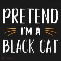 Pretend I'm A Black Cat Costume Party Funny Halloween Cat  Bucket Hat thumb 4