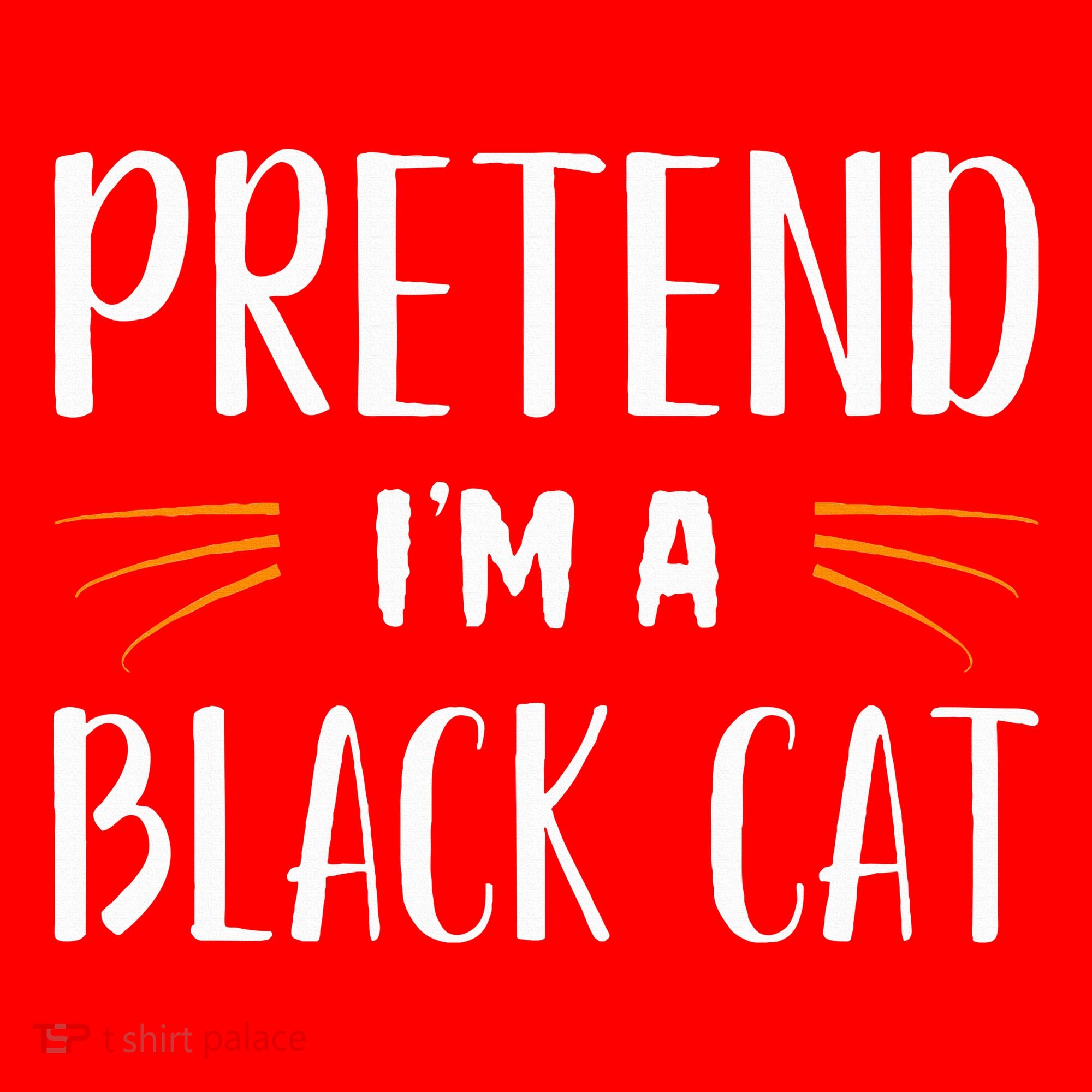 Pretend I'm A Black Cat Costume Party Funny Halloween Cat  Santa Hat