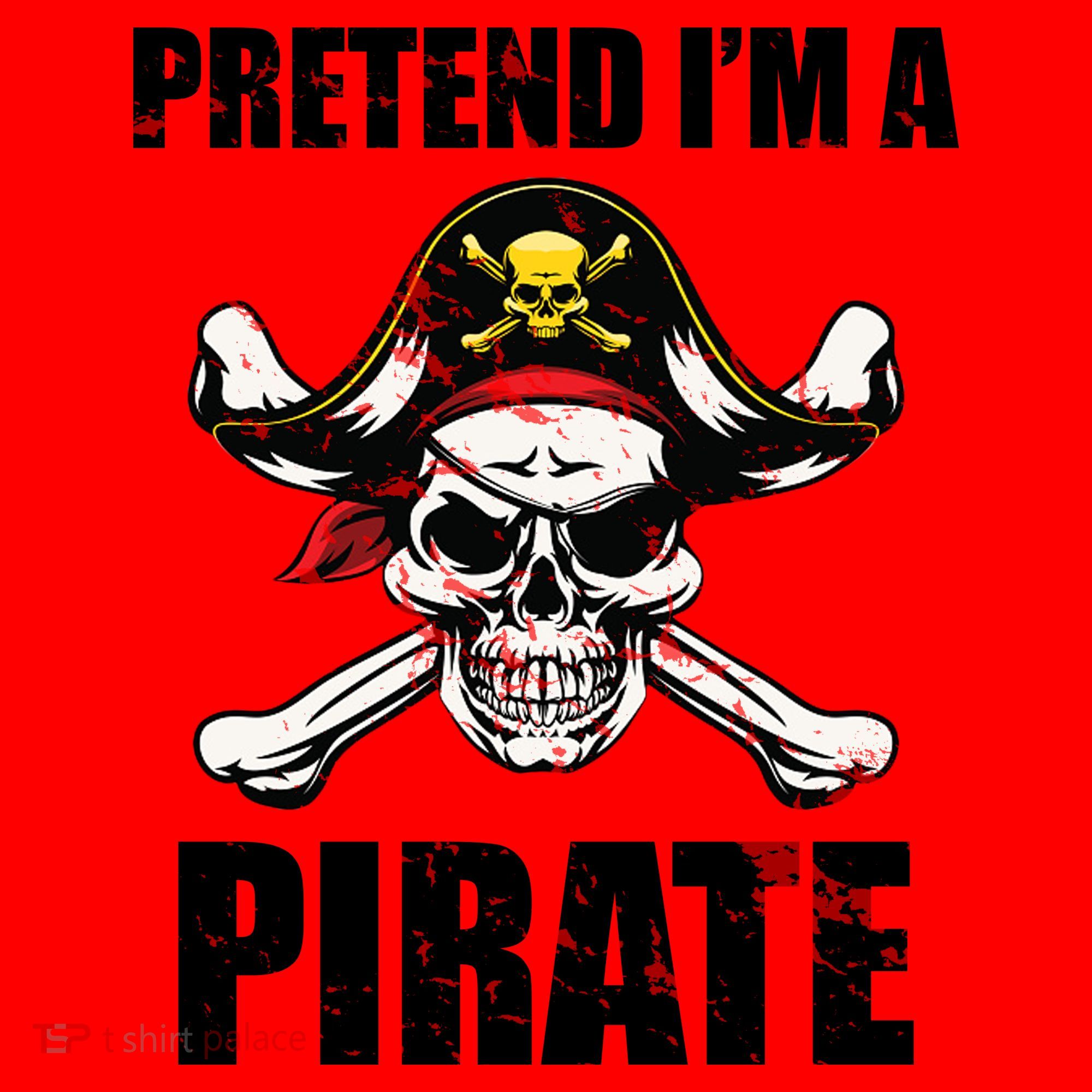 Pretend I'm A Pirate Santa Hat