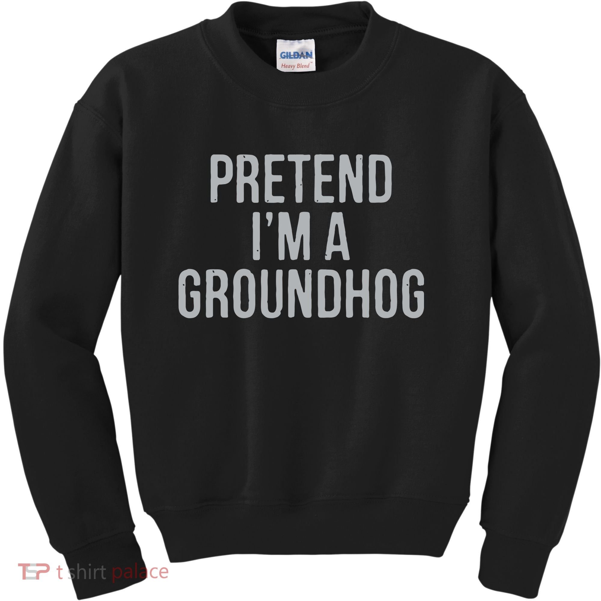 Pretend Im A Groundhog Lazy Halloween Costume Kids Sweatshirt