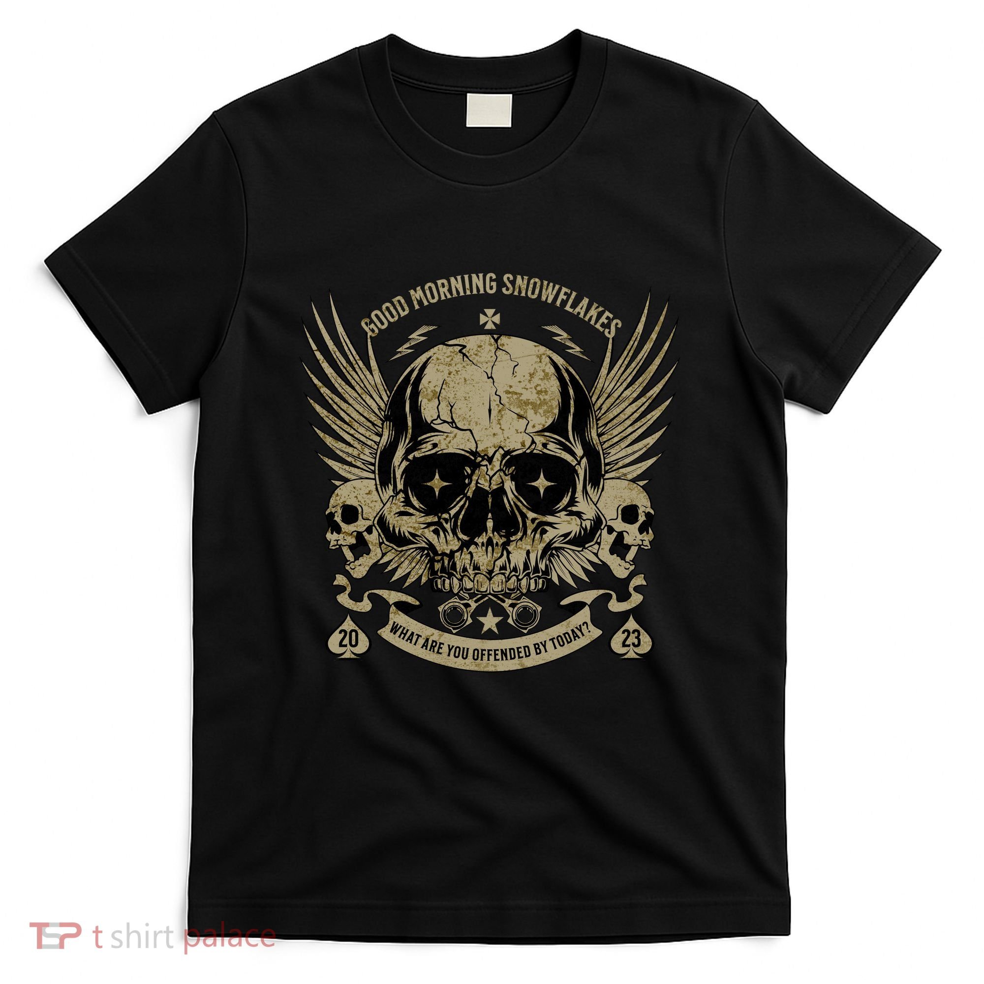 Politically Incorrect Conservative Republican T-Shirt