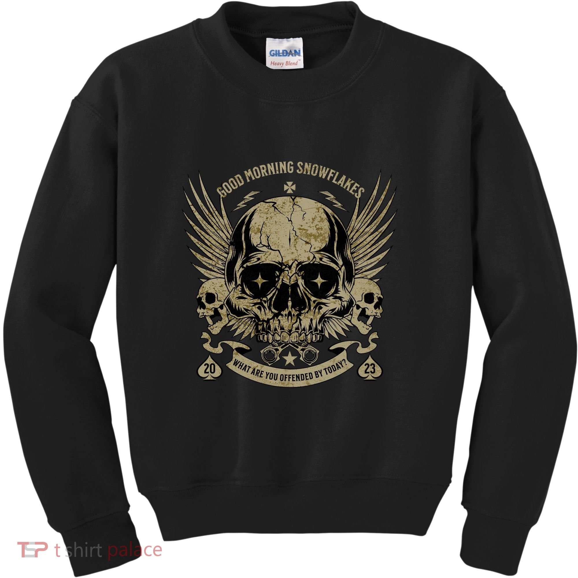 Politically Incorrect Conservative Republican Kids Sweatshirt