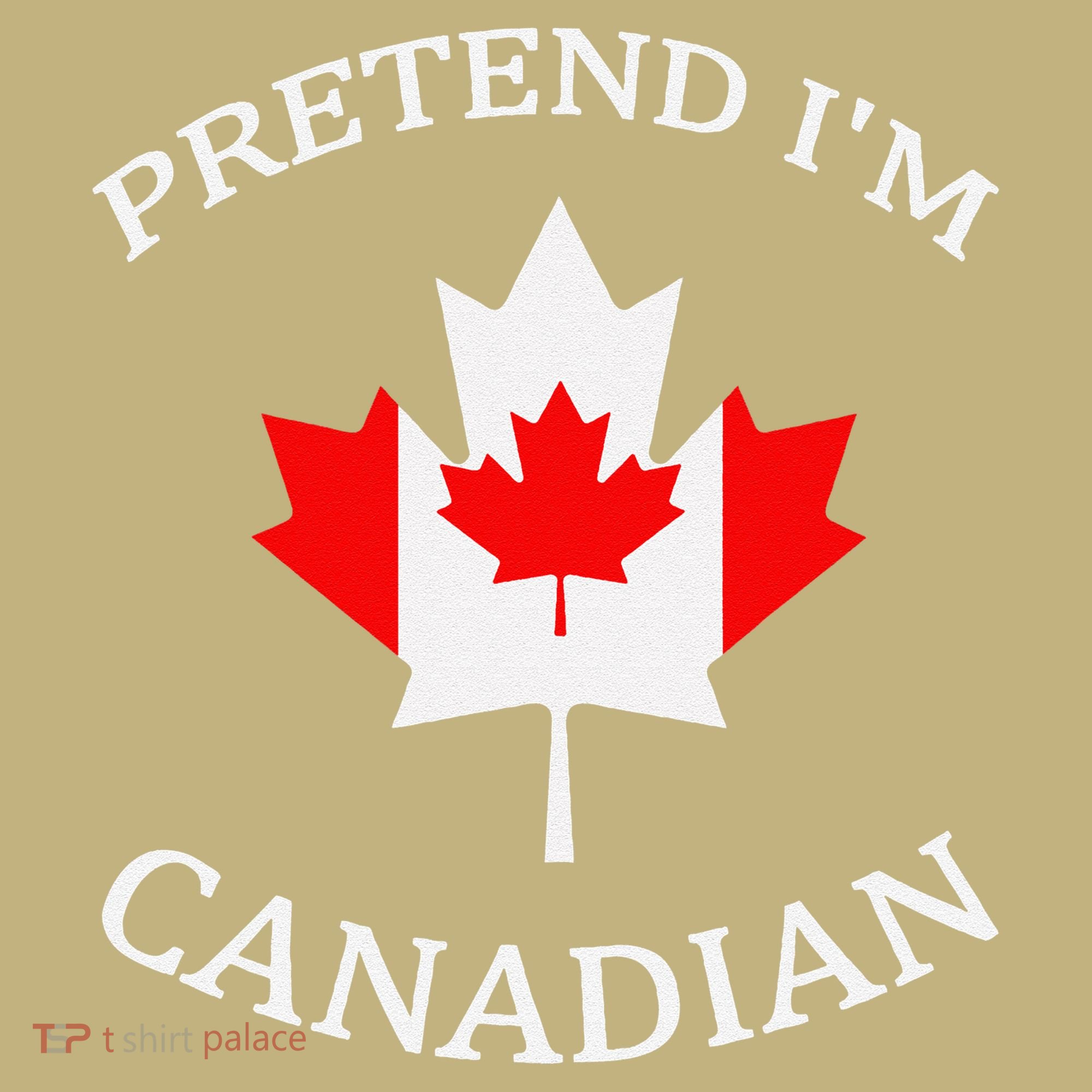 Pretend Im Canadian Funny Quote Canada Day Celebration Fun Hoodie