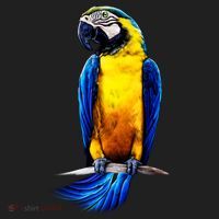 Parrot In Clouds Tumbler thumb 3