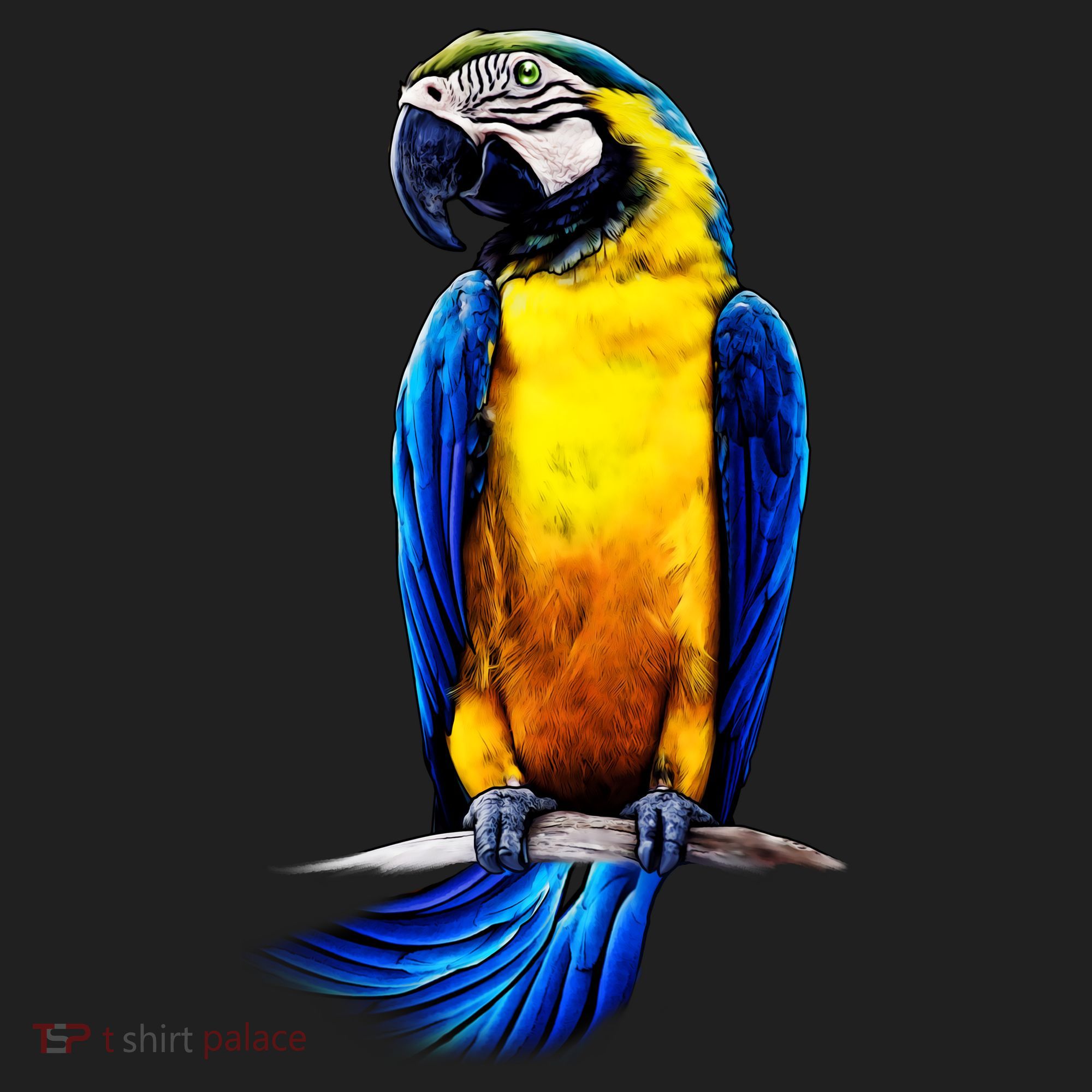 Parrot In Clouds Tumbler