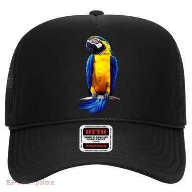 Parrot In Clouds Hat