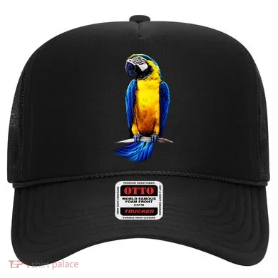 Parrot In Clouds Hat