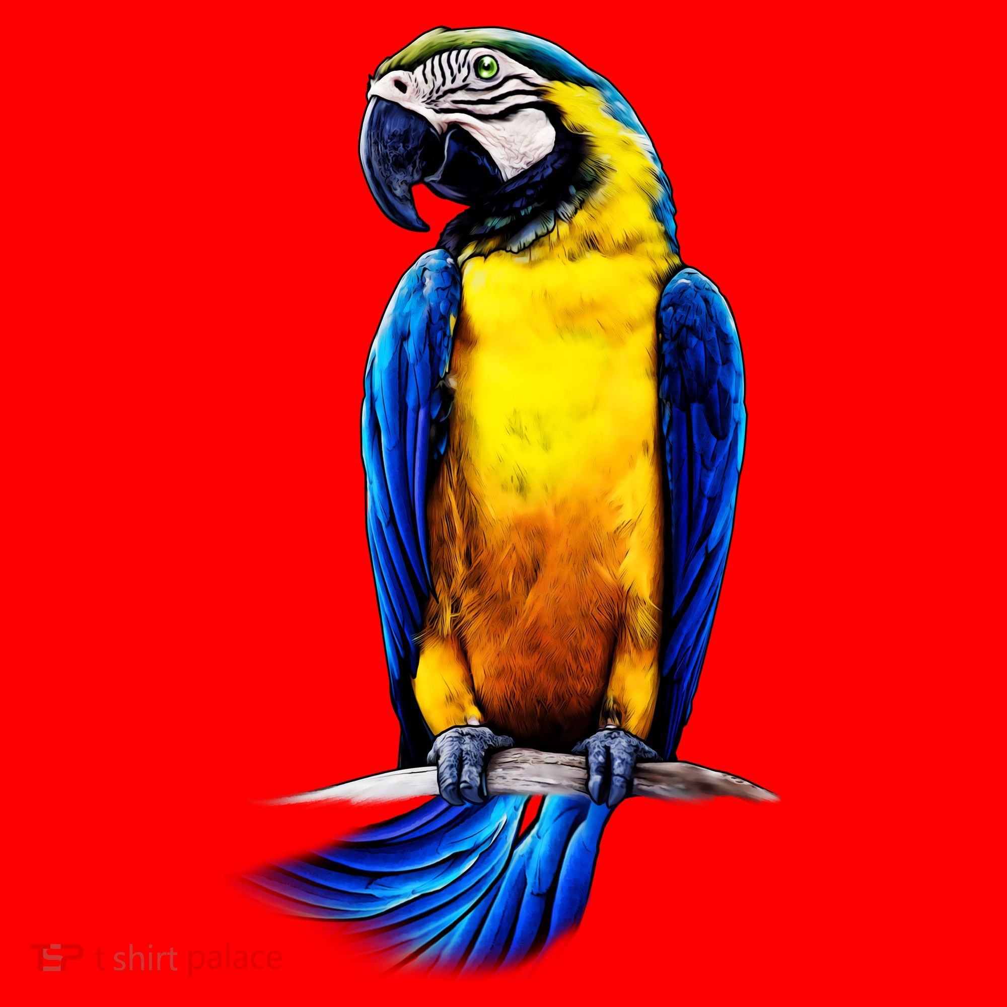 Parrot In Clouds Santa Hat