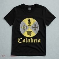 Proud Italian Calabrese Calabria Italy Flag T-Shirt thumb 5