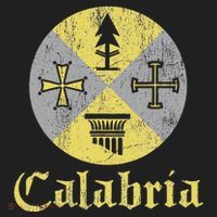 Proud Italian Calabrese Calabria Italy Flag Beanie thumb 2