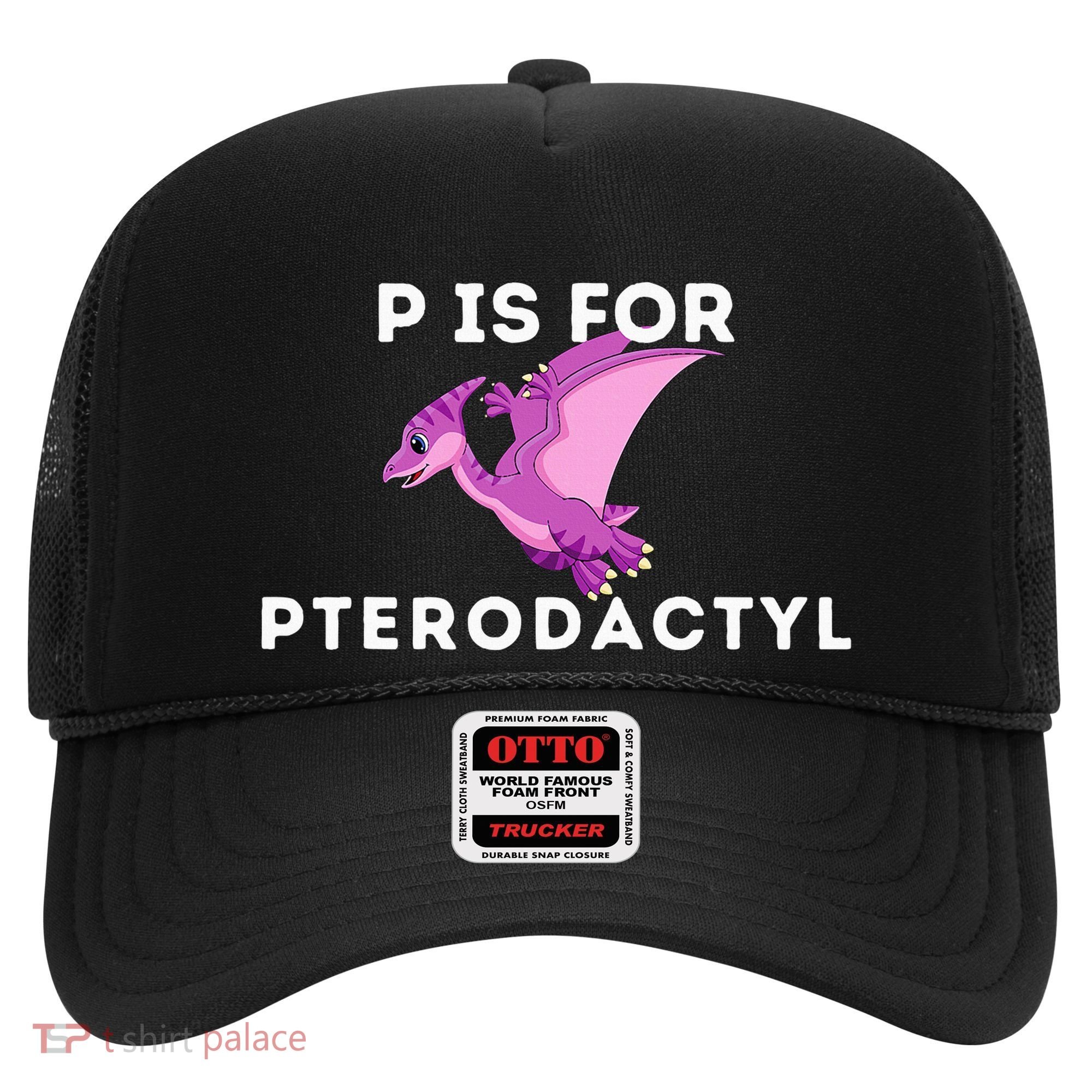 P Is For Pterodactyl Dinosaur Word Play Hat