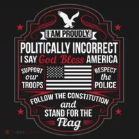 Politically Incorrect God Bless America Conservative Sweatshirt thumb 3