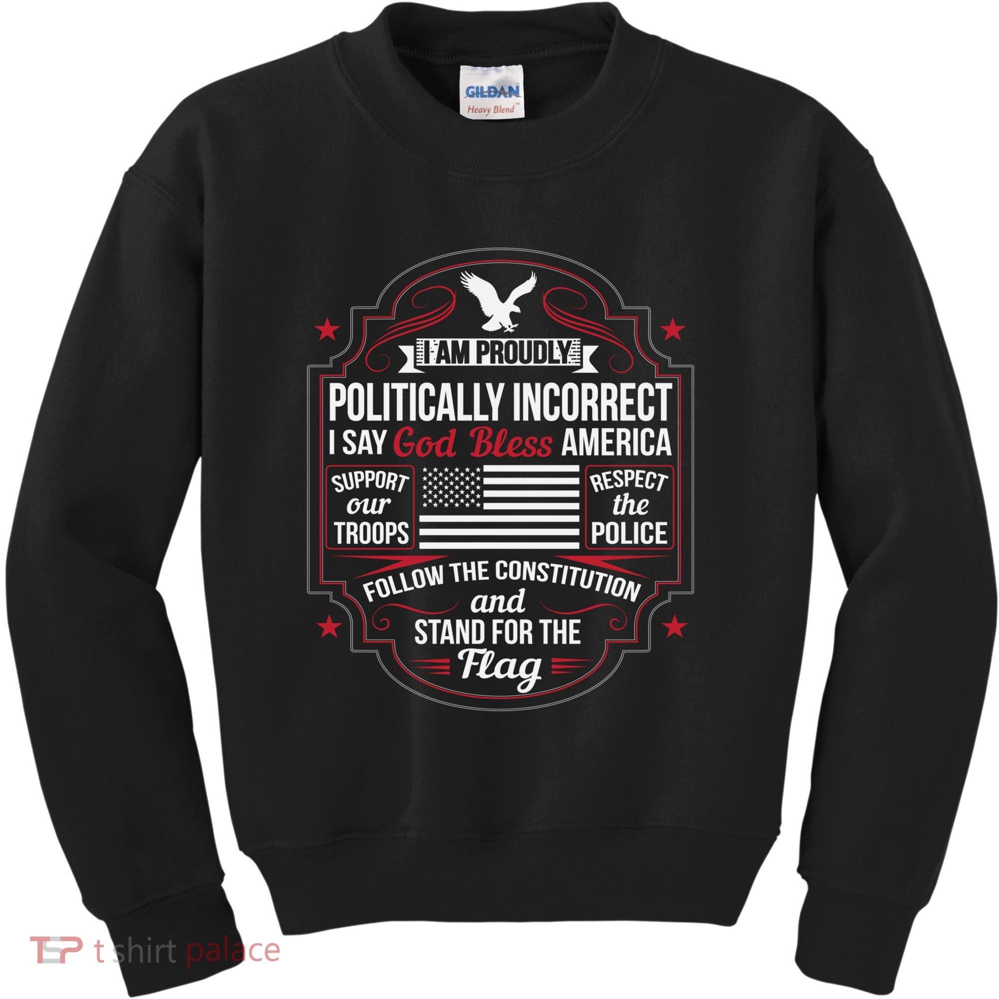 Politically Incorrect God Bless America Conservative Kids Sweatshirt