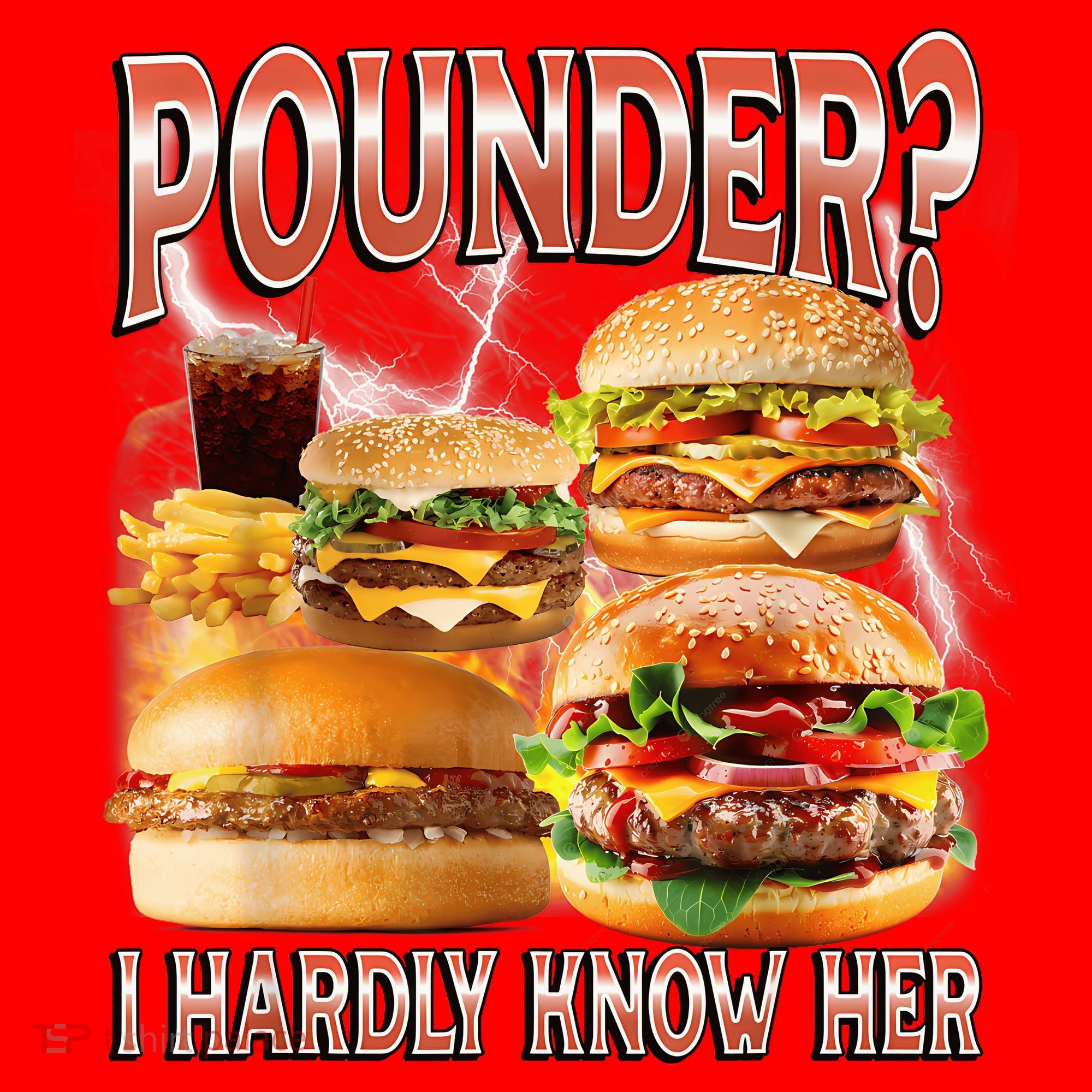 Pounder I Hardly Know Her Funny Unhinged Hamburger Meme Santa Hat
