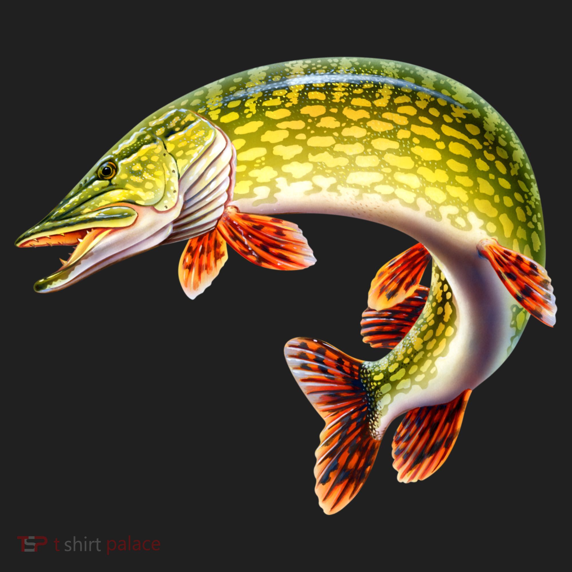 Pike Beanie