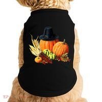 Pilgrim Thanksgiving Doggie Tank thumb 0