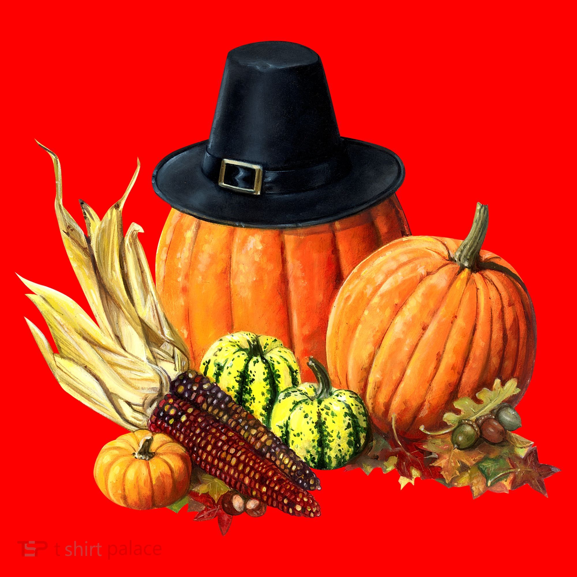 Pilgrim Thanksgiving Santa Hat