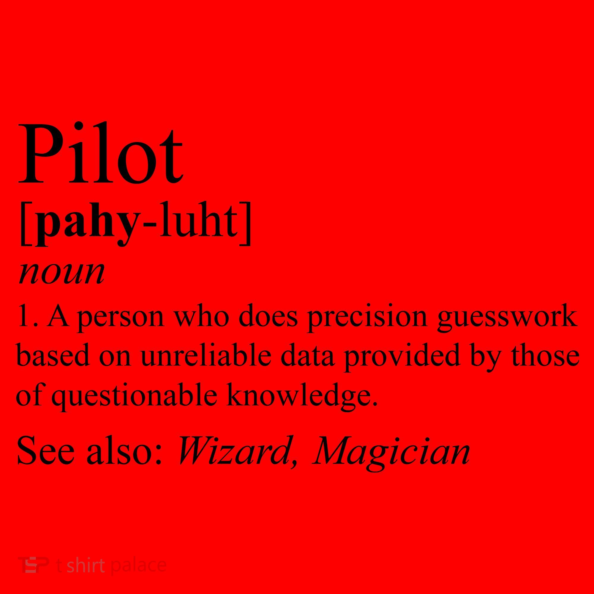Pilot Definition Santa Hat