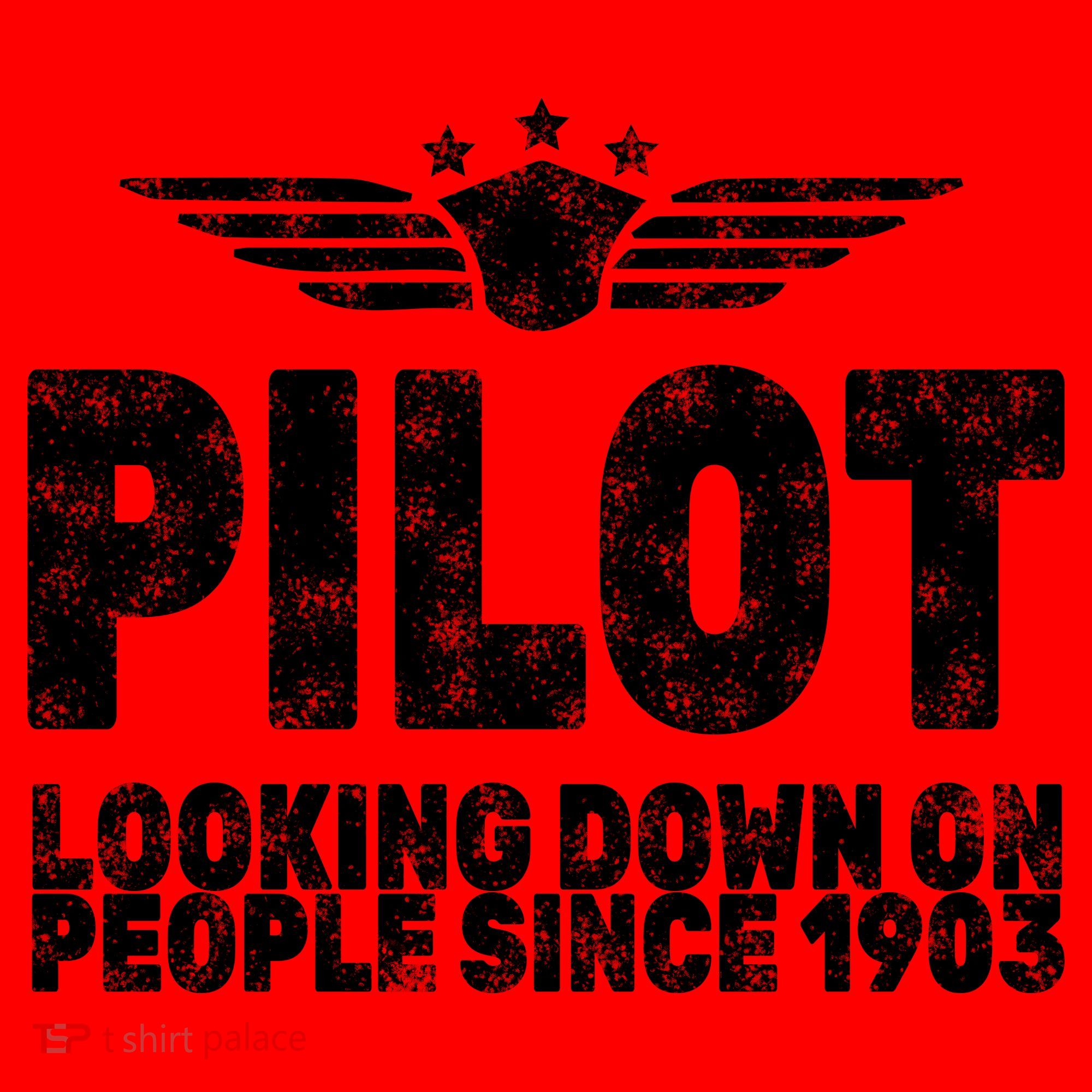 Pilot Looking Down On People Since 1903 Santa Hat