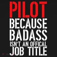 Pilot Official Job Title Ornament thumb 1