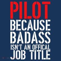 Pilot Official Job Title Hoodie thumb 7